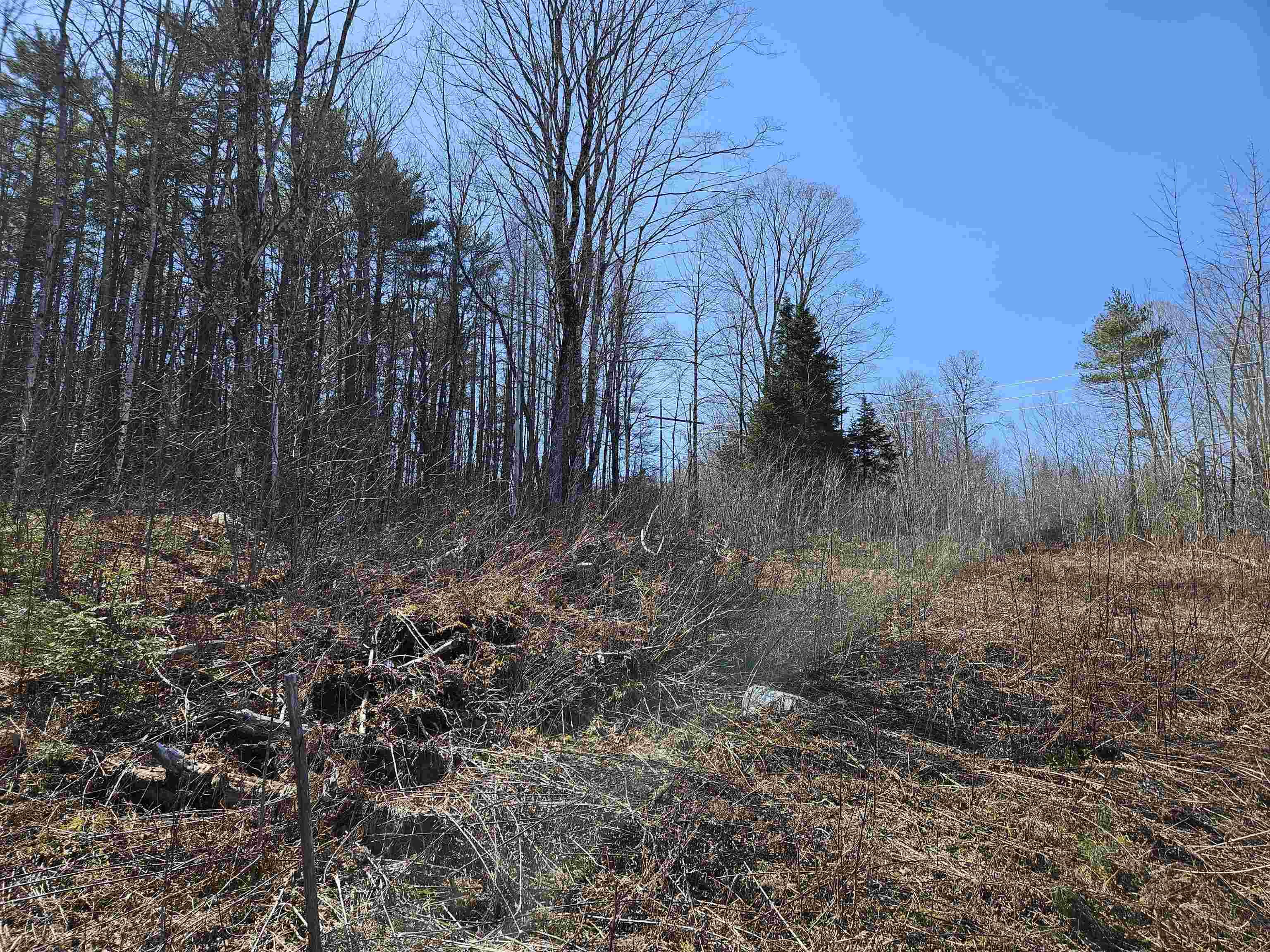 324 Crane Hill Road Sugar Hill, NH 03586 - Photo 60 of 60