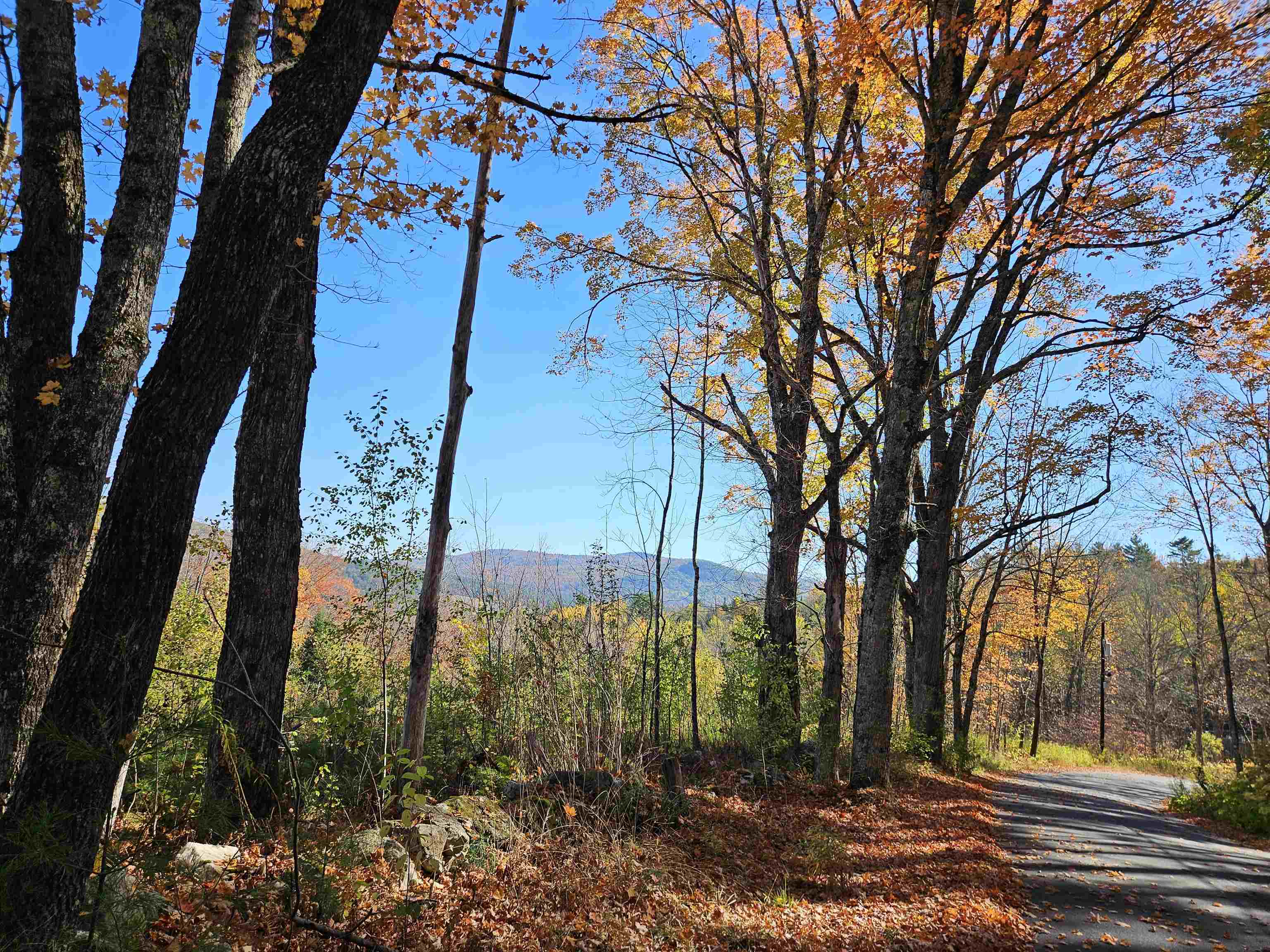 324 Crane Hill Road Sugar Hill, NH 03586 - Photo 6 of 59