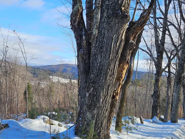 $174,000 | 324 Crane Hill Road, Sugar Hill, NH 03586