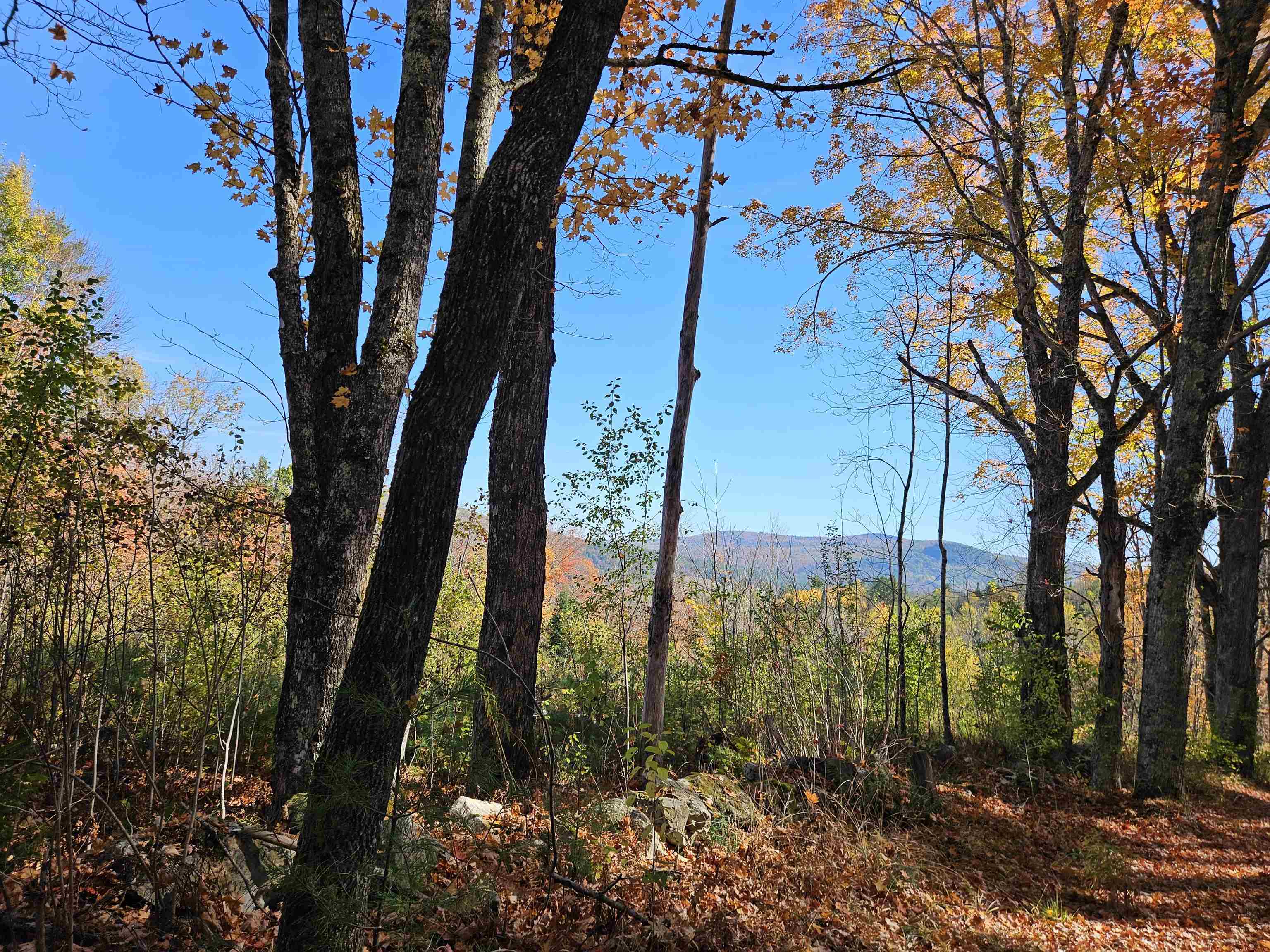 324 Crane Hill Road Sugar Hill, NH 03586 - Photo 8 of 59