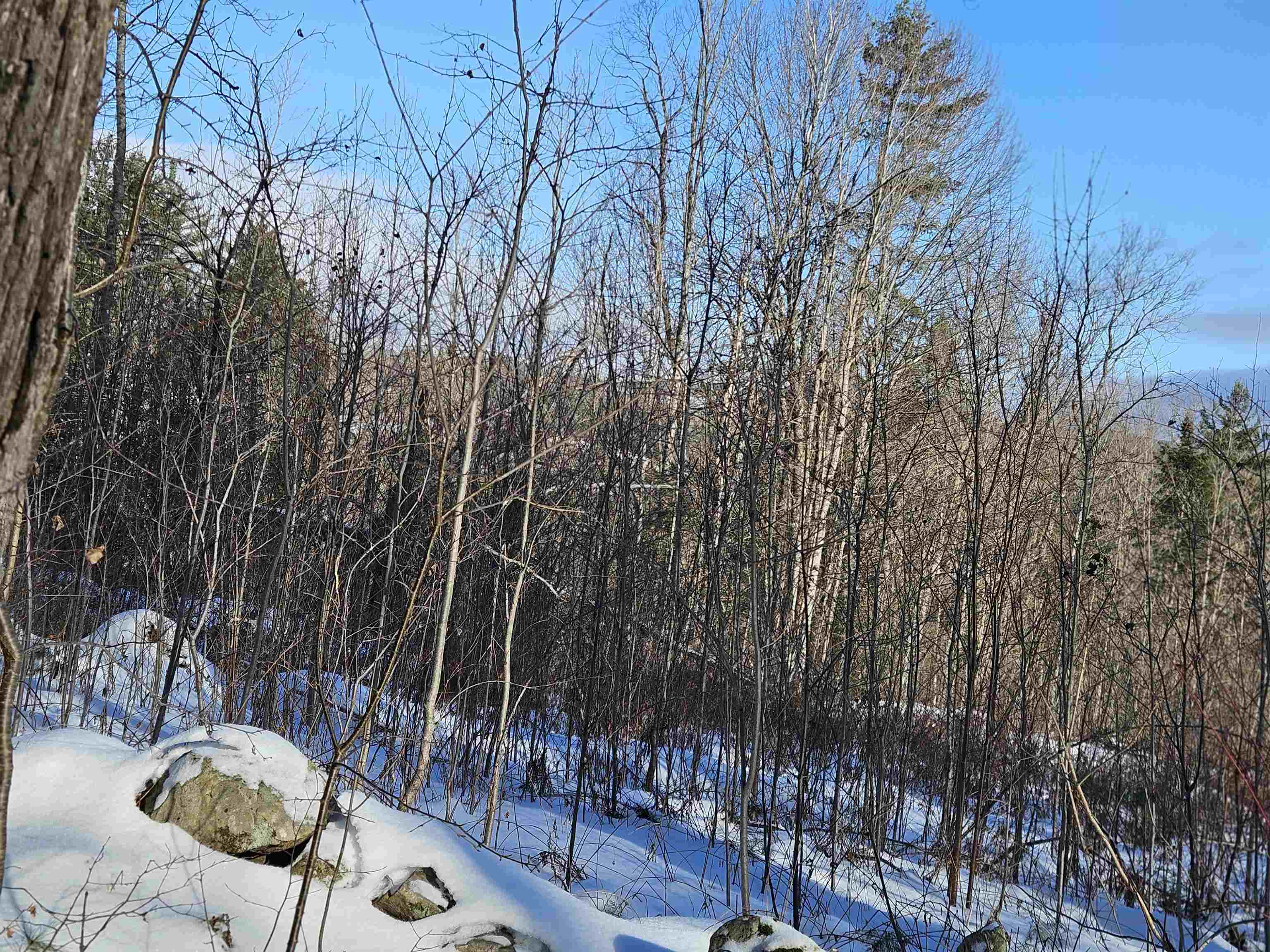 324 Crane Hill Road Sugar Hill, NH 03586 - Photo 9 of 60