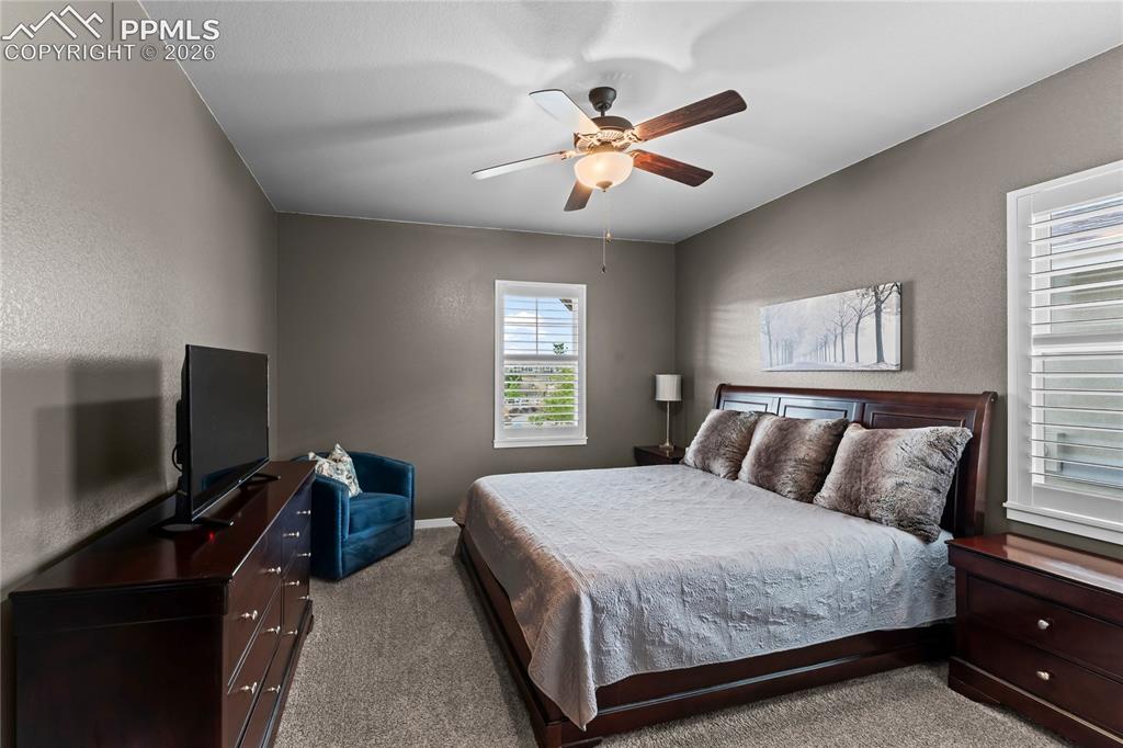 1168 Foothills Farm Way Colorado Springs, CO 80921 - Photo 11 of 50