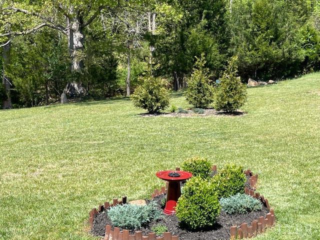 1185 Elk Creek Road Forest, VA 24551 - Photo 30 of 30