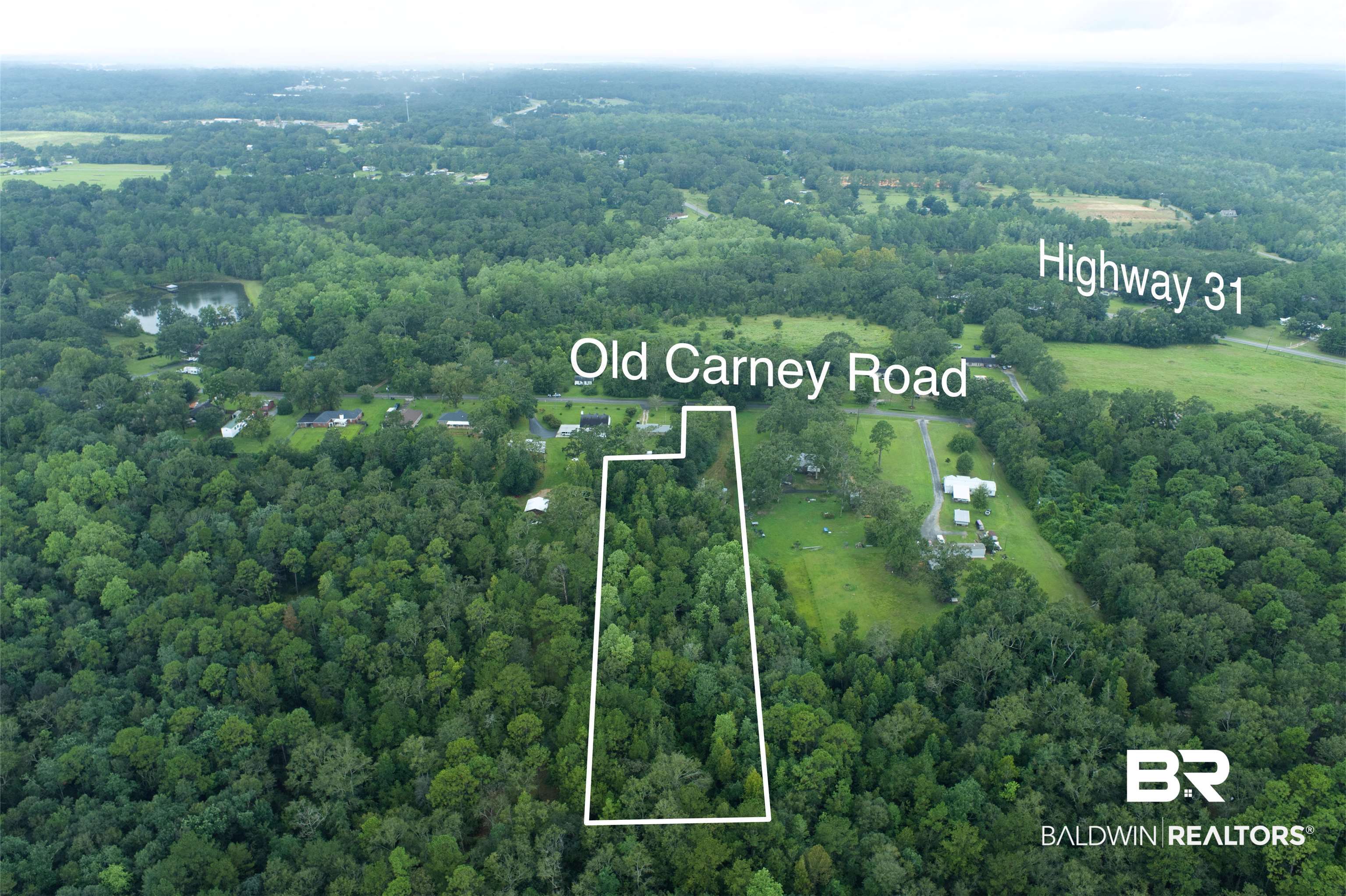 45930 Old Carney Road Bay Minette, AL 36507 - Photo 7 of 7