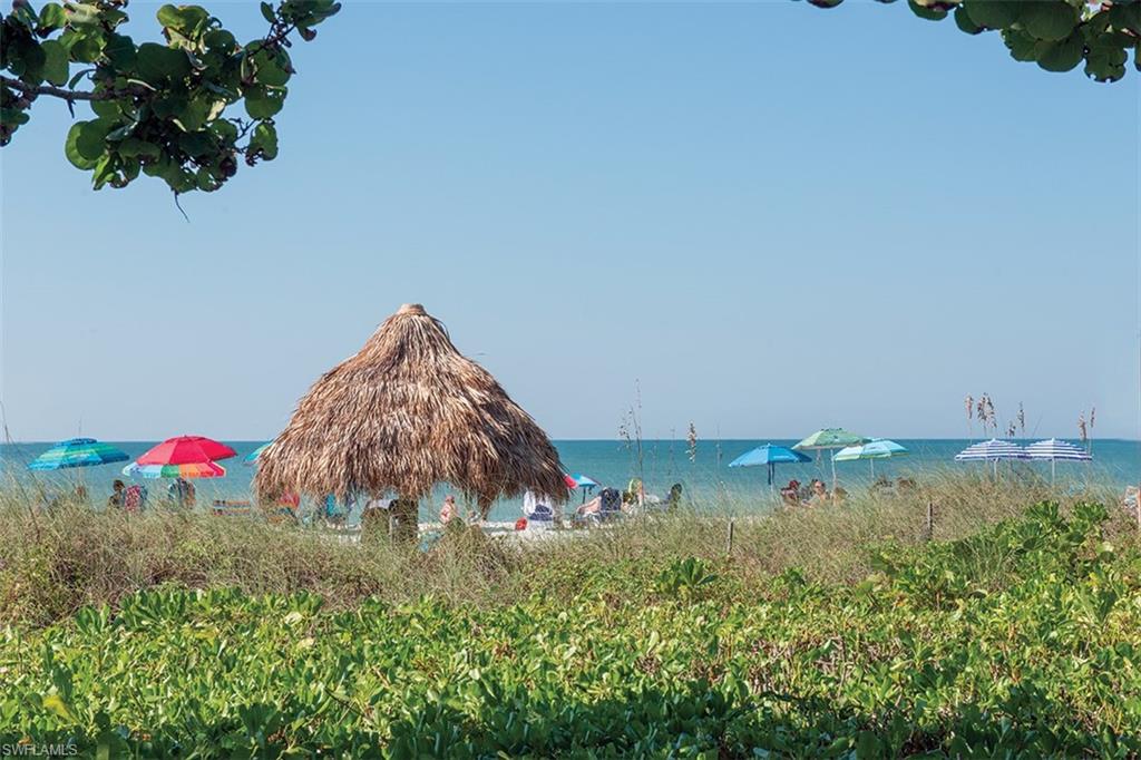 2331 Crayton Road Naples, FL 34103 - Photo 9 of 10 a garden view