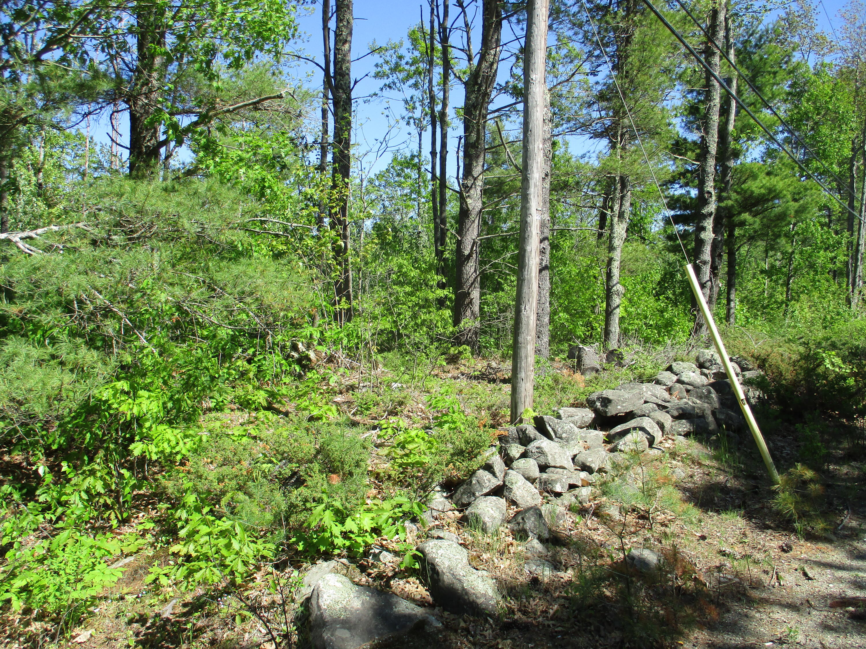 1641 Washington Road Waldoboro, ME 04572 - Photo 1 of 15 IMG_1524