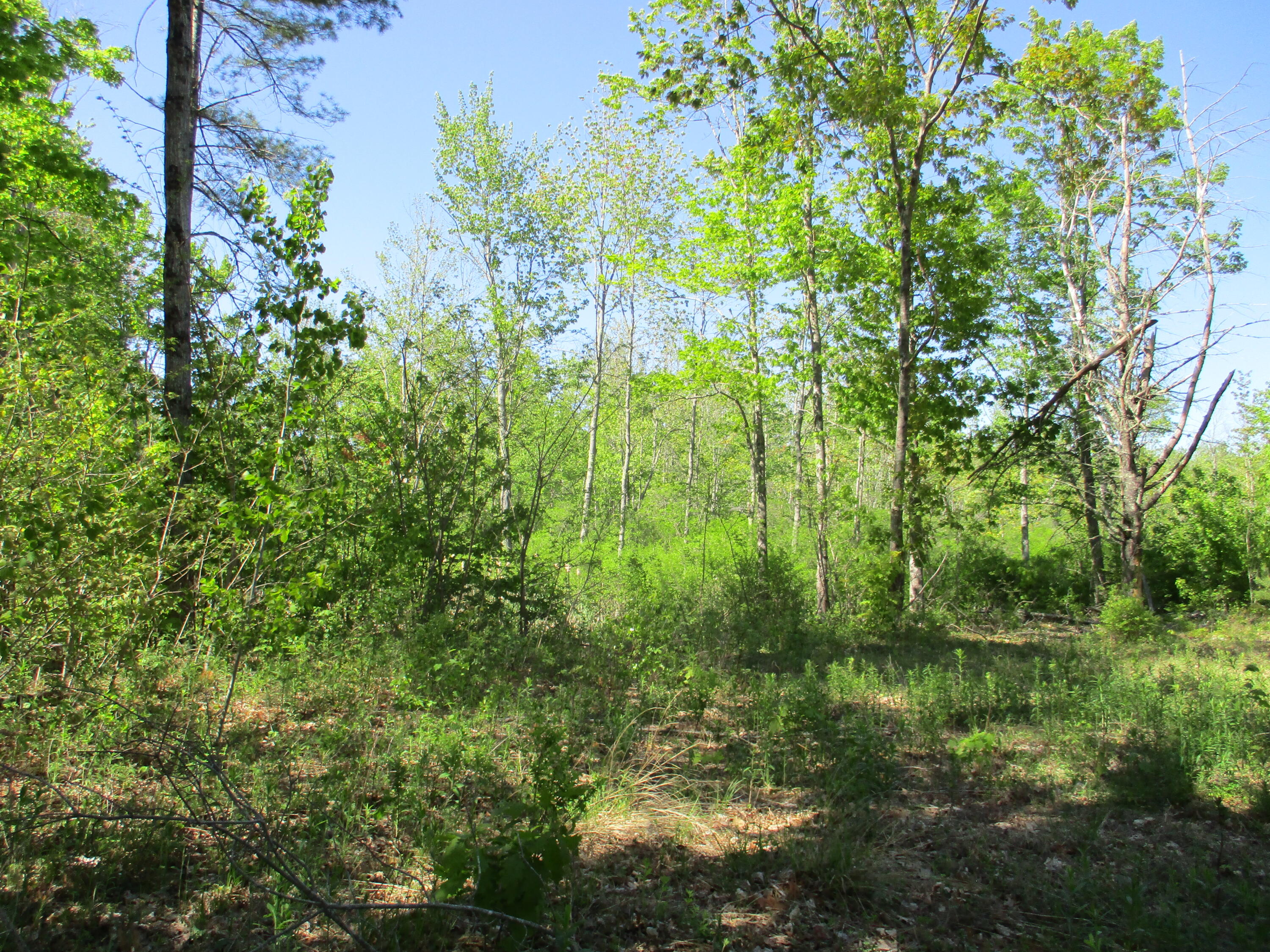 1641 Washington Road Waldoboro, ME 04572 - Photo 12 of 15 IMG_1520