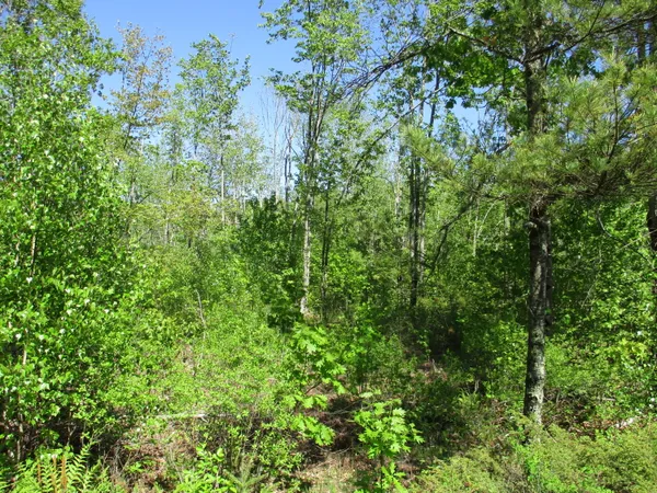 $129,900 | 1641 Washington Road, Waldoboro, ME 04572