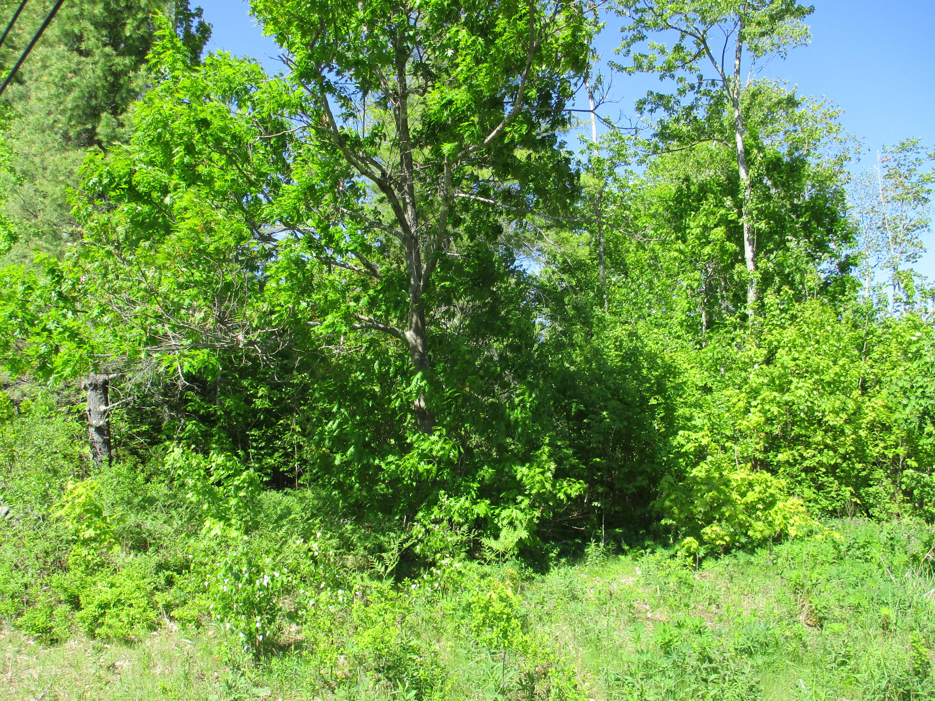 1641 Washington Road Waldoboro, ME 04572 - Photo 15 of 15 IMG_1528