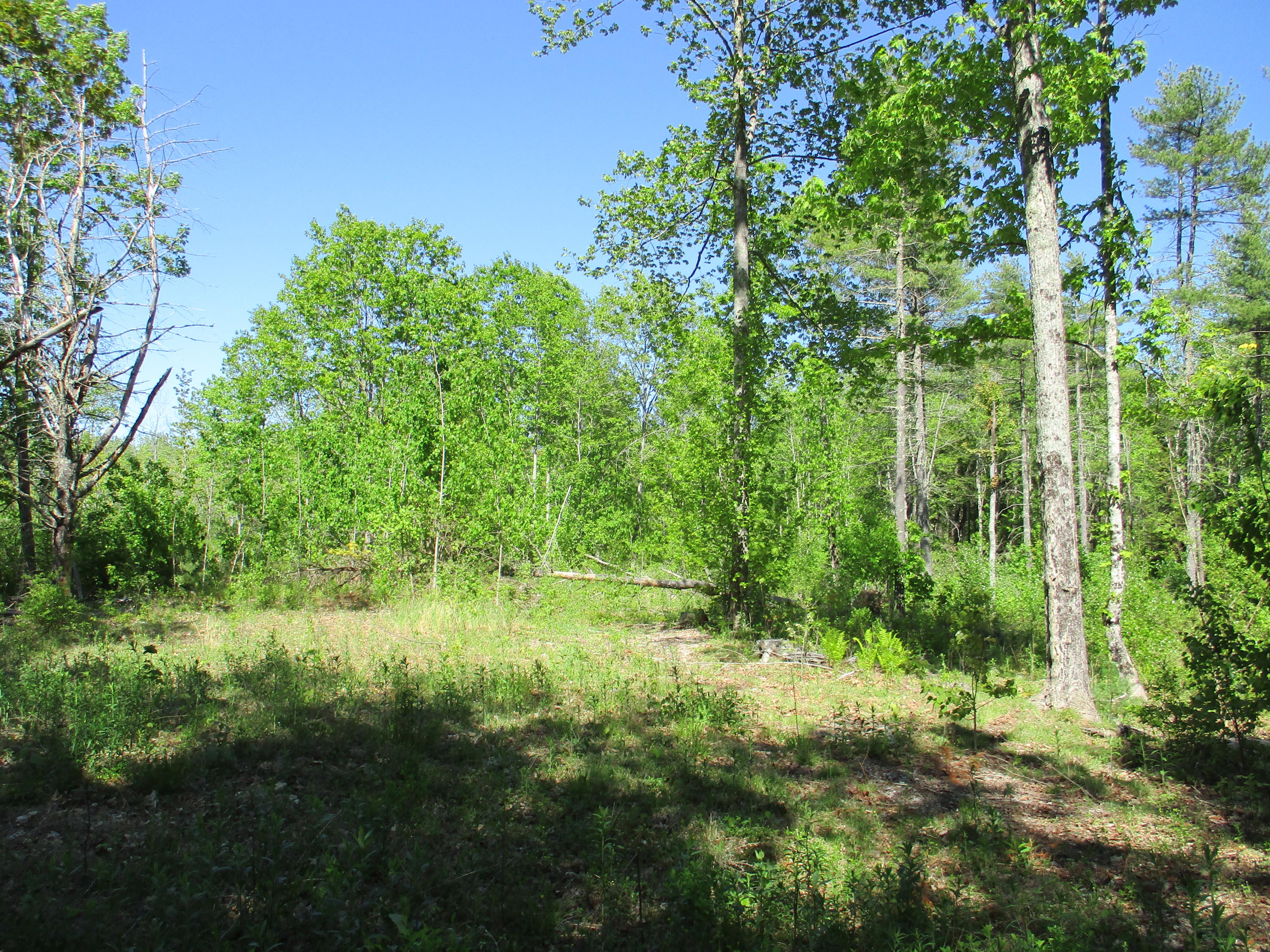 1641 Washington Road Waldoboro, ME 04572 - Photo 2 of 15 IMG_1519