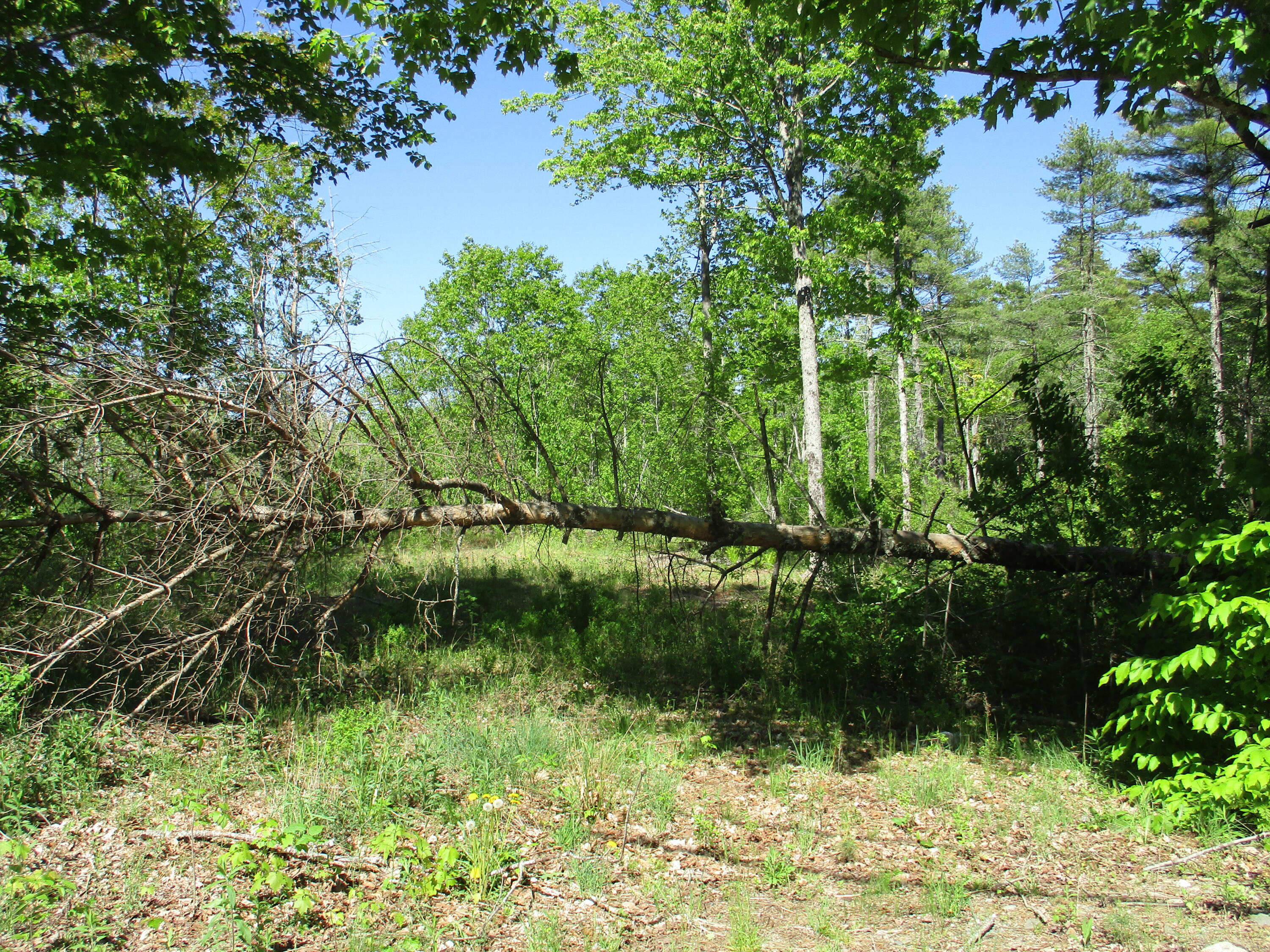 1641 Washington Road Waldoboro, ME 04572 - Photo 3 of 15 IMG_1517