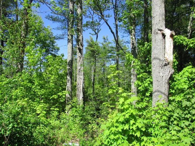 $129,900 | 1641 Washington Road, Waldoboro, ME 04572