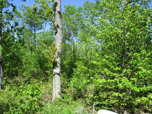 $129,900 | 1641 Washington Road, Waldoboro, ME 04572