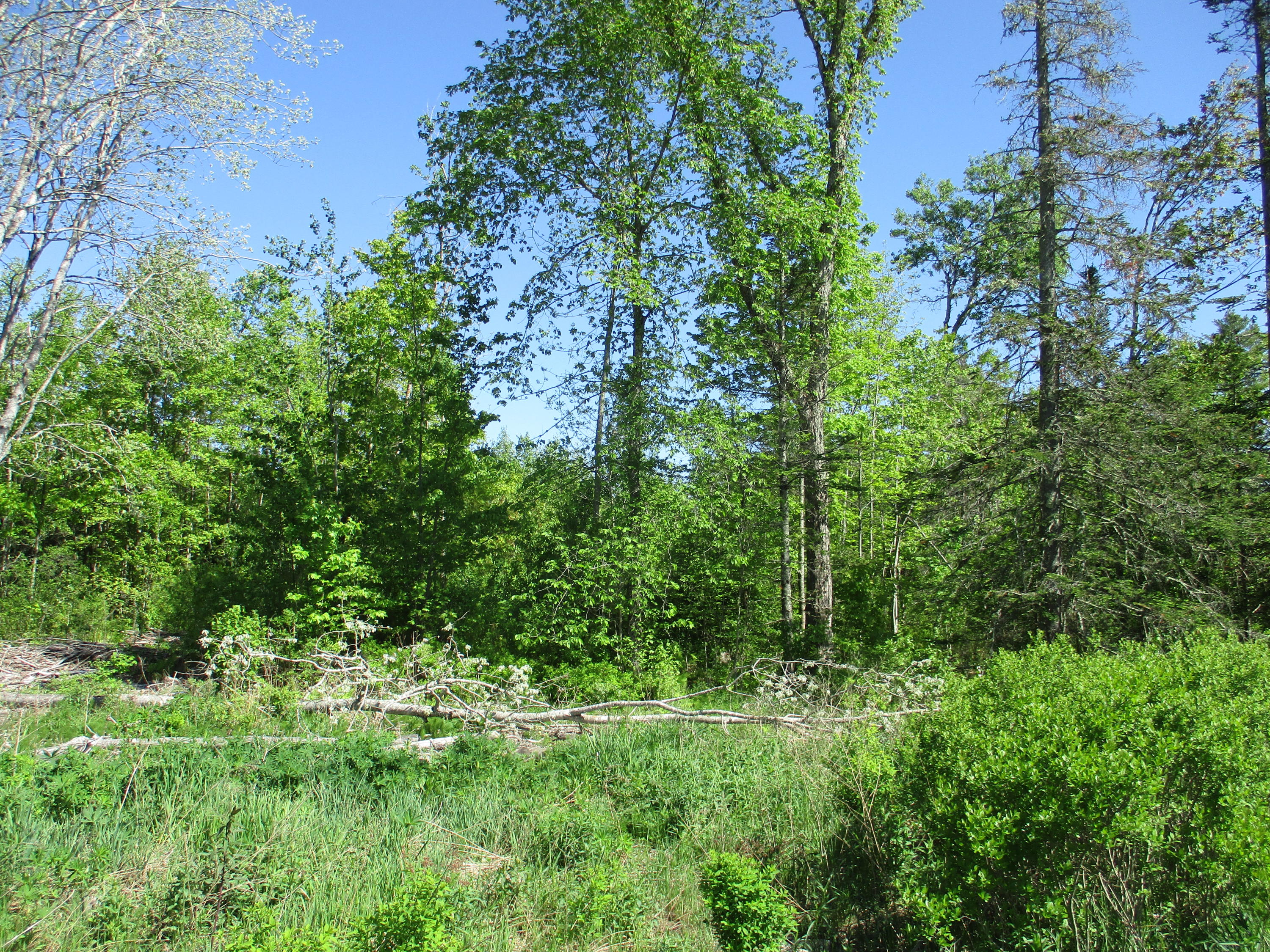 1641 Washington Road Waldoboro, ME 04572 - Photo 7 of 15 IMG_1526