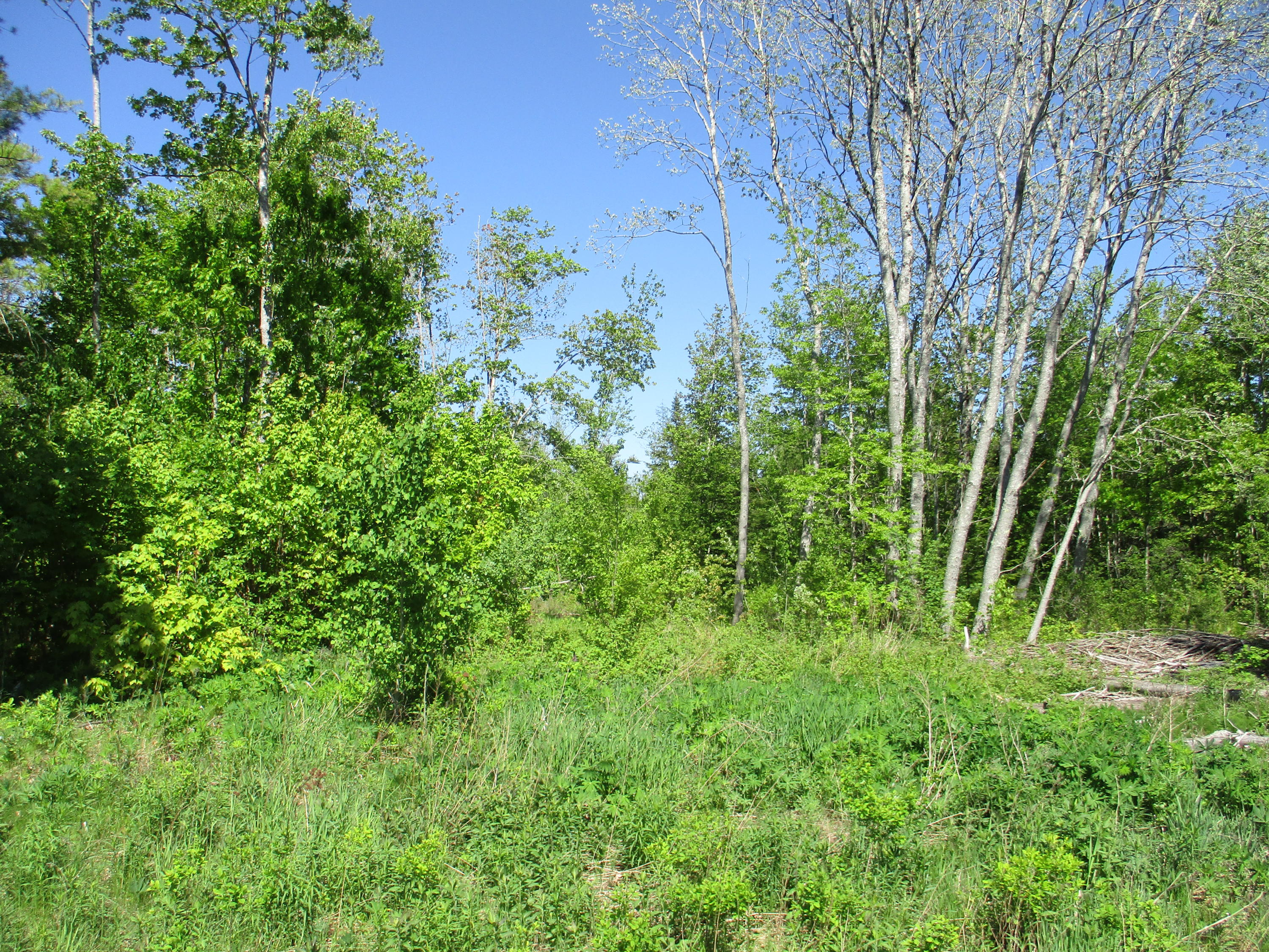 1641 Washington Road Waldoboro, ME 04572 - Photo 8 of 15 IMG_1527