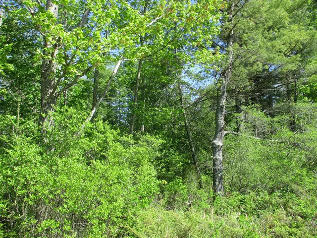 $129,900 | 1641 Washington Road, Waldoboro, ME 04572