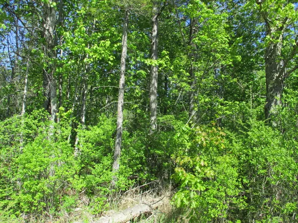 $129,900 | 1641 Washington Road, Waldoboro, ME 04572