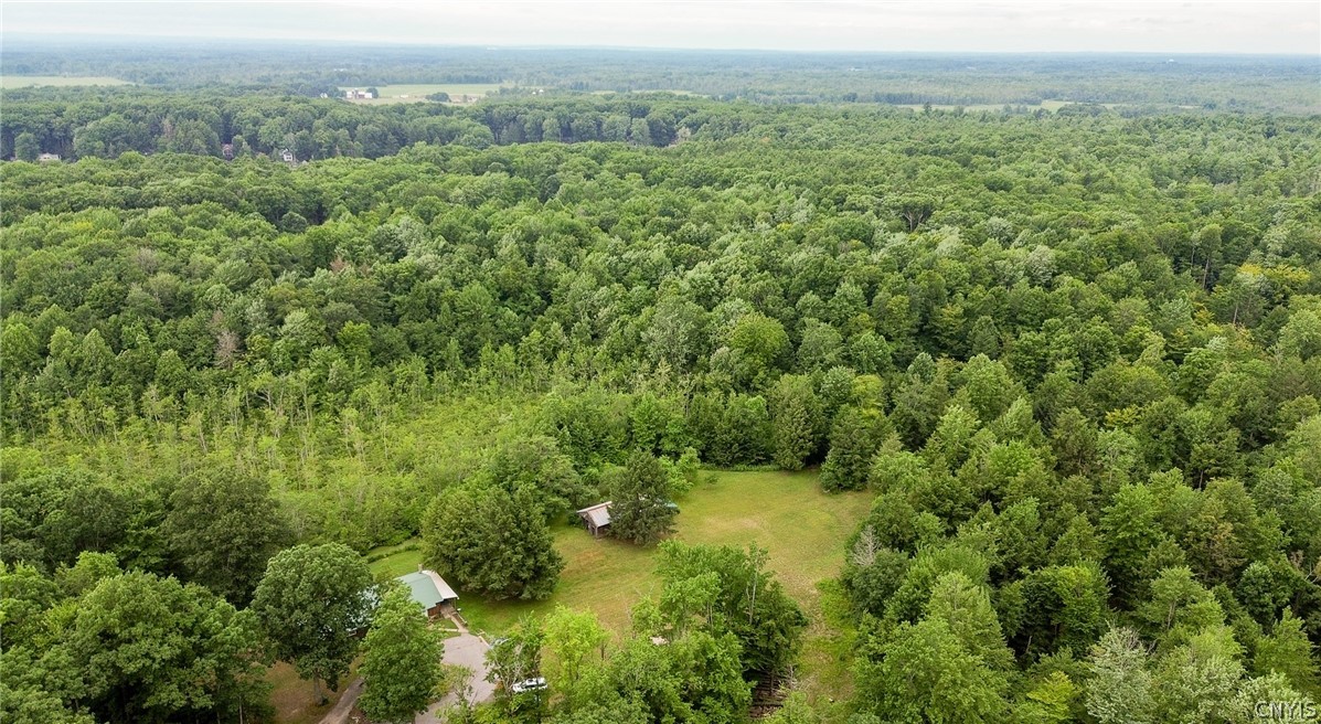 517 County Rte 10 Schroeppel, NY 13132 - Photo 46 of 49