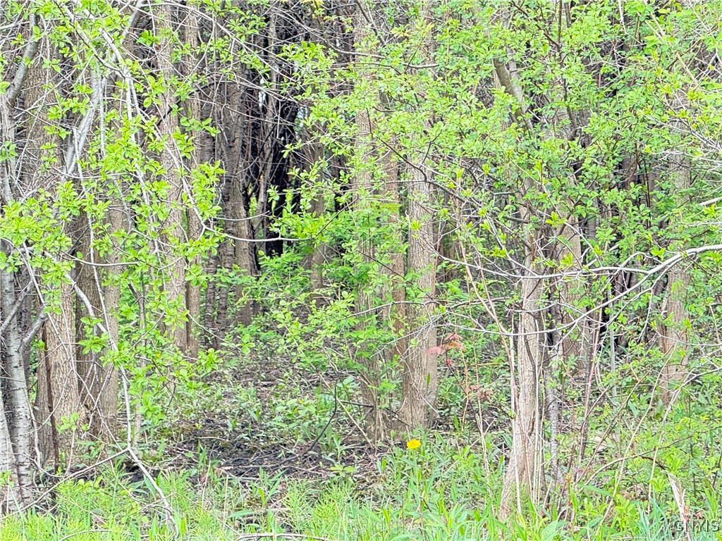 0 Klocks Corners Road Oswego, NY 13126 - Photo 11 of 20