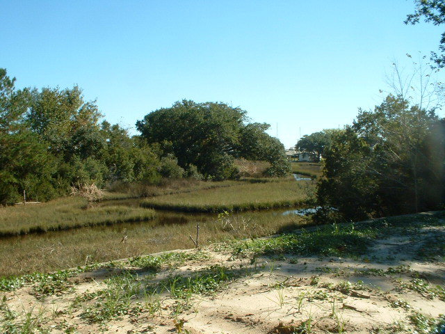 193 Swan Point Road Sneads Ferry, NC 28460 - Photo 1 of 2 Primary Photo