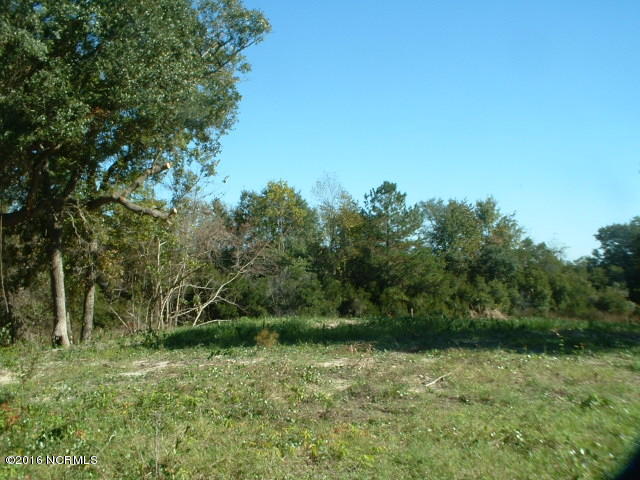 193 Swan Point Road Sneads Ferry, NC 28460 - Photo 2 of 2 from street