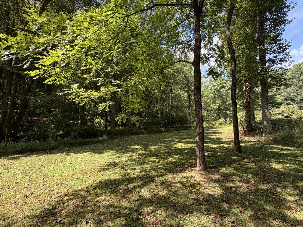 6.13-ac Lucius Road Blue Ridge, GA 30513 - Photo 6 of 21 Gallery Image 6