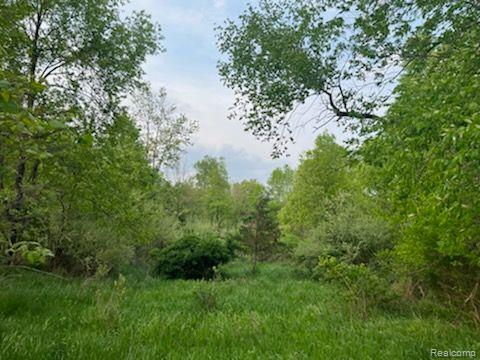 4 Elevation Lane Howell, MI 48855 - Photo 3 of 7