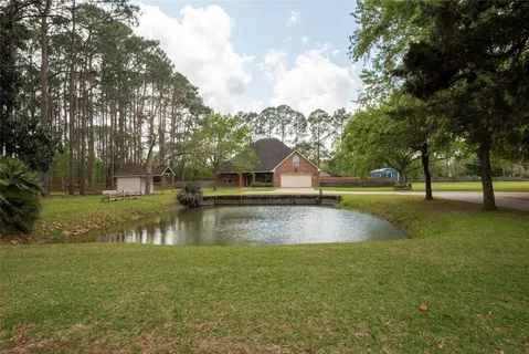 a view of a park with large trees