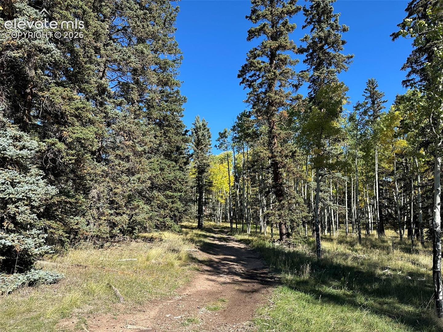 2940 NORTH Rd Divide Divide, CO 80814 - Photo 13 of 27 Gallery Image 13