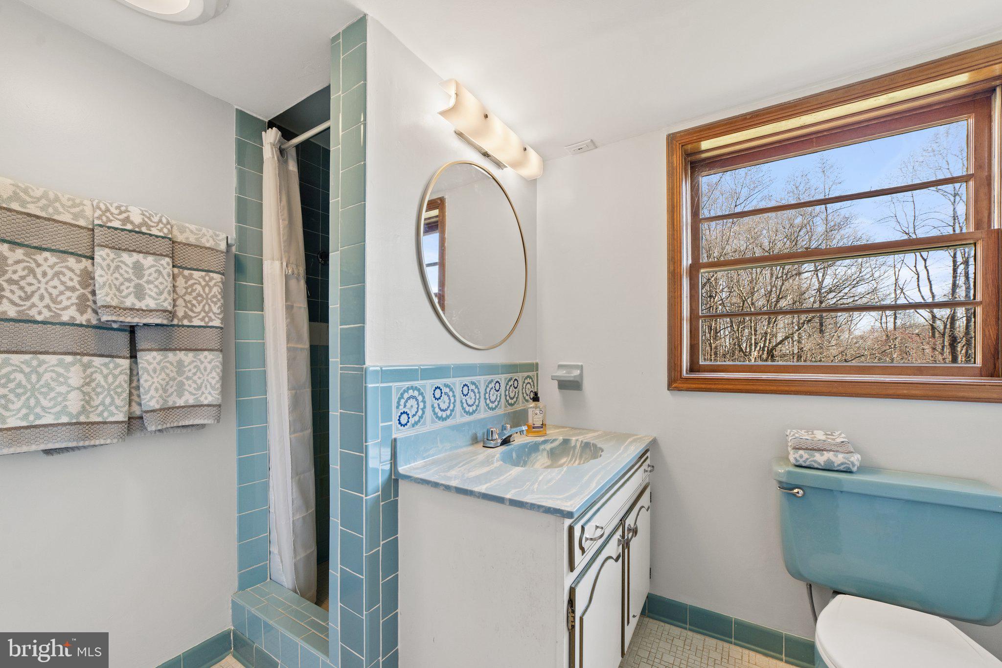 512 Round Hill Road Boston, VA 22713 - Photo 34 of 51 Lower Level Bath,