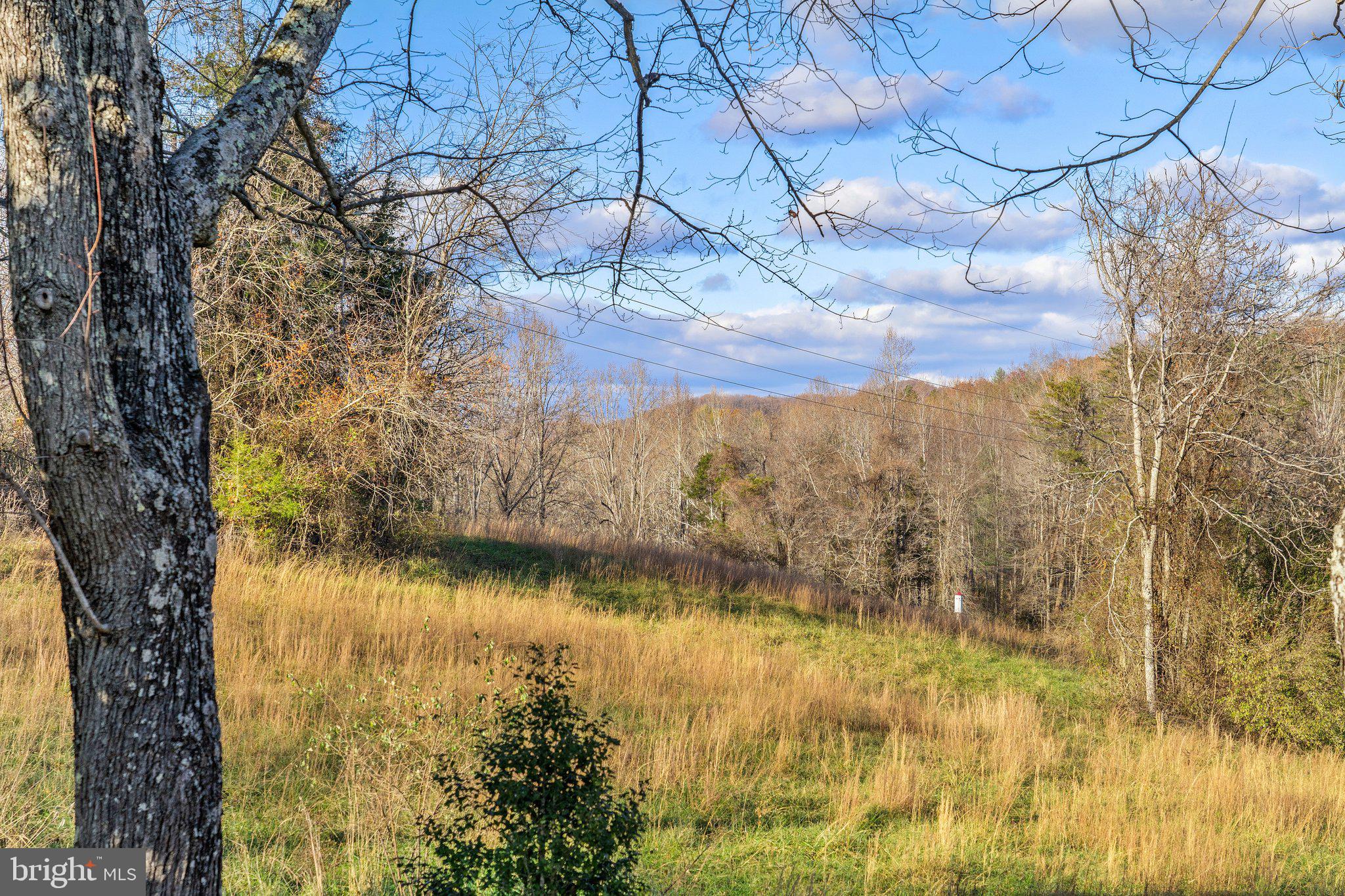 512 Round Hill Road Boston, VA 22713 - Photo 41 of 51 Mountain View