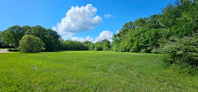 a view of a big yard with plants and large trees