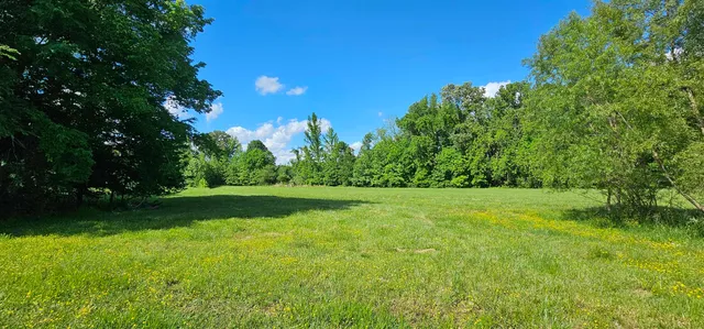 a view of a golf course