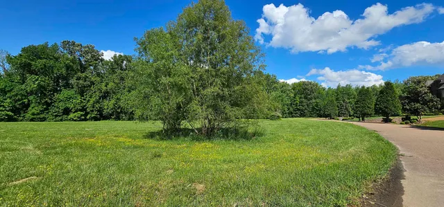 a backyard of a house with lots of green space