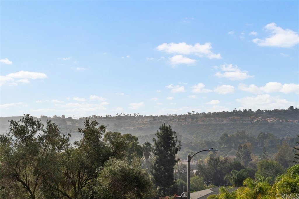 29752 Ivy Glenn Drive Laguna Niguel, CA 92677 - Photo 35 of 36 a view of city and mountain