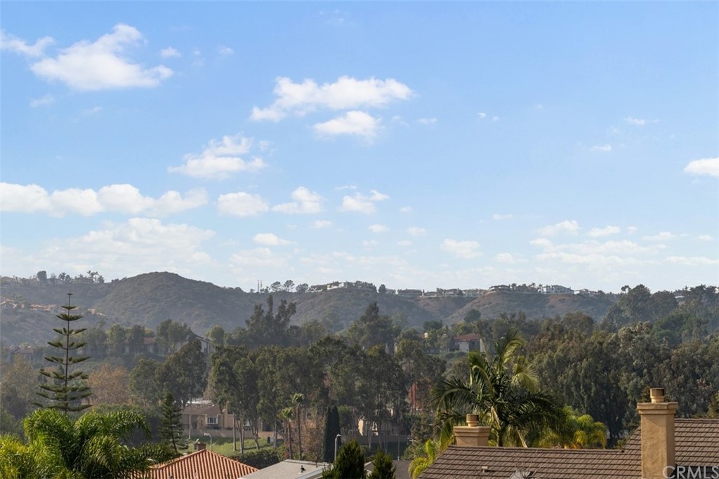 29752 Ivy Glenn Drive Laguna Niguel, CA 92677 - Photo 36 of 36 a view of a city with mountains