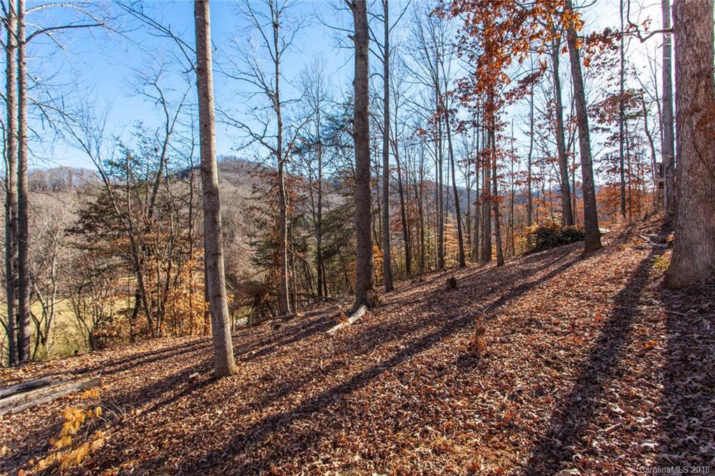 14 Homewood Road Candler, NC 28715 - Photo 27 of 30 Gallery Image 27