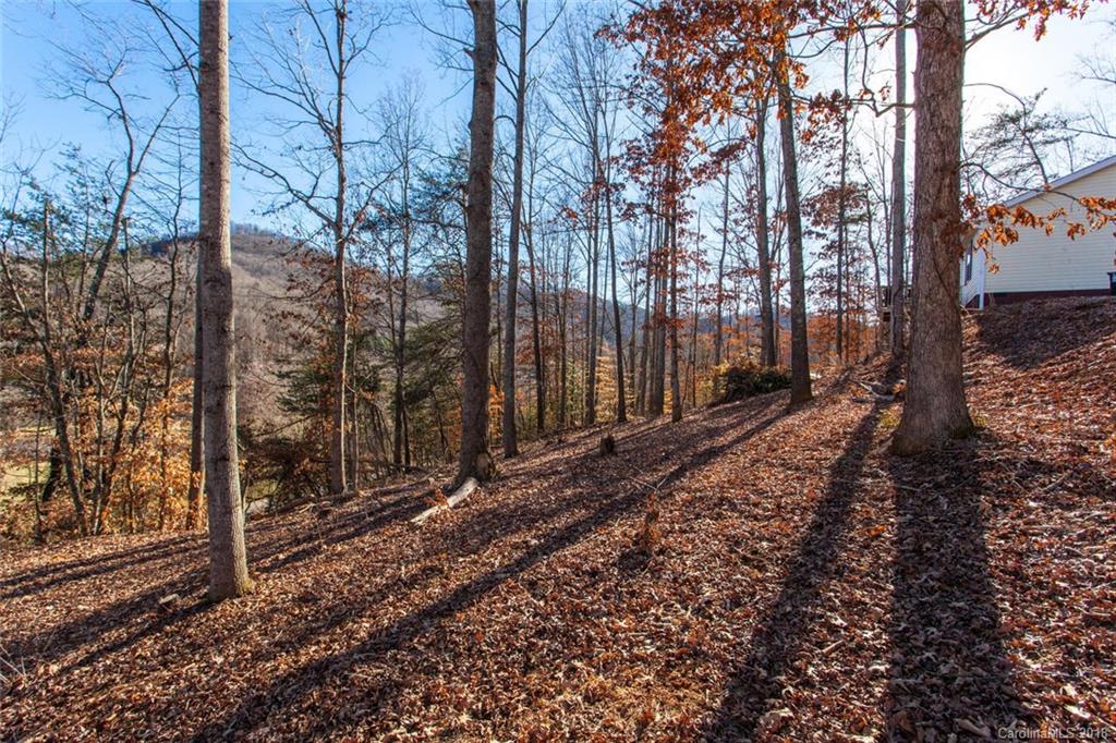 14 Homewood Road Candler, NC 28715 - Photo 28 of 30 Gallery Image 28