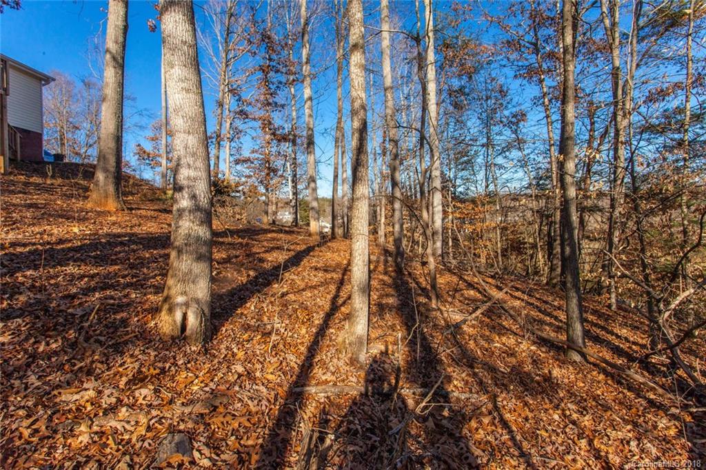 14 Homewood Road Candler, NC 28715 - Photo 29 of 30 Gallery Image 29