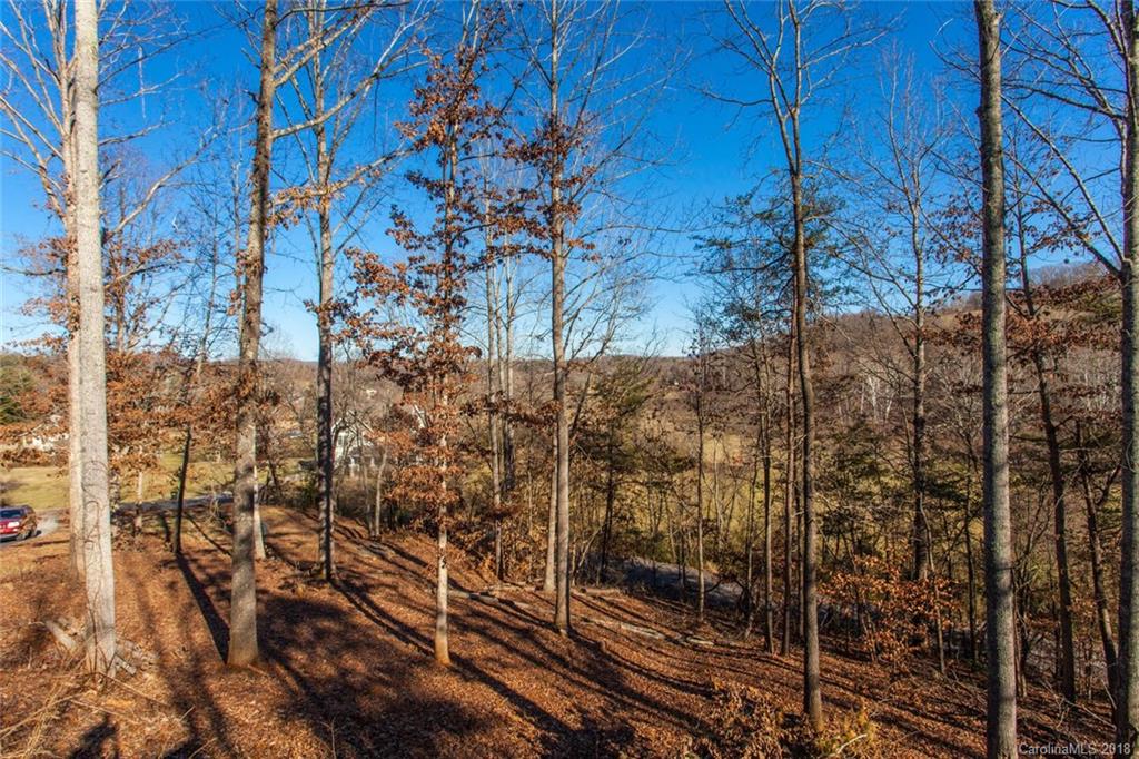 14 Homewood Road Candler, NC 28715 - Photo 5 of 30 Gallery Image 5