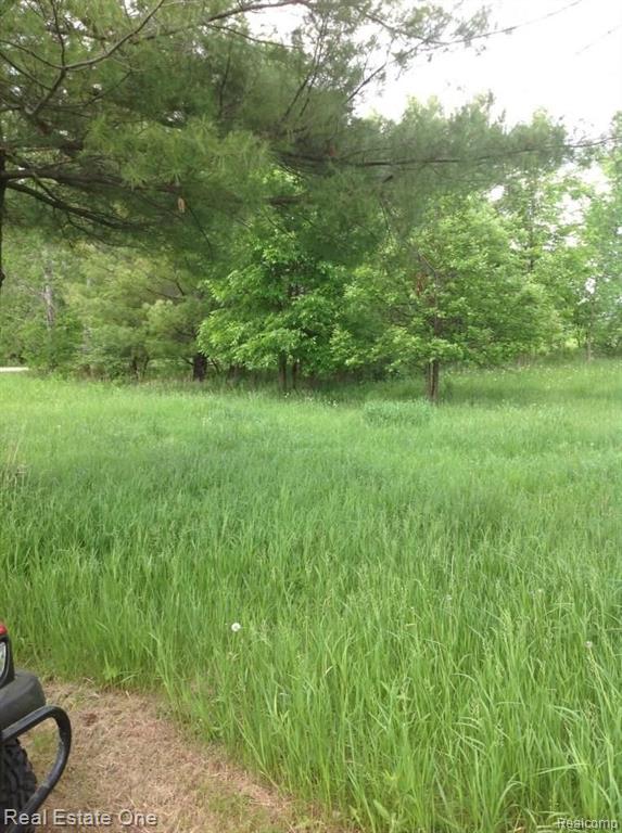 Parcel 4 B Fisher Road Howell, MI 48855 - Photo 2 of 4