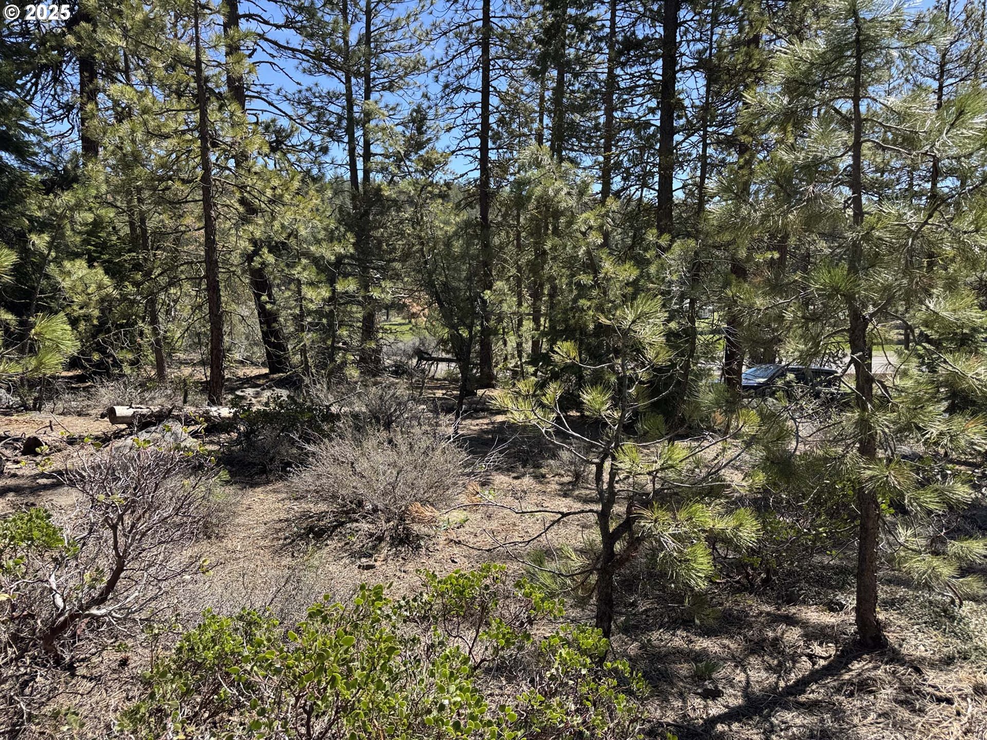Horned Owl Lane Bonanza, OR 97623 - Photo 18 of 44