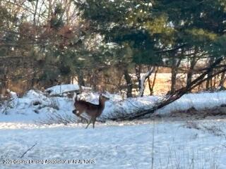 5434 Green Road St. Johns, MI 48879 - Photo 24 of 27