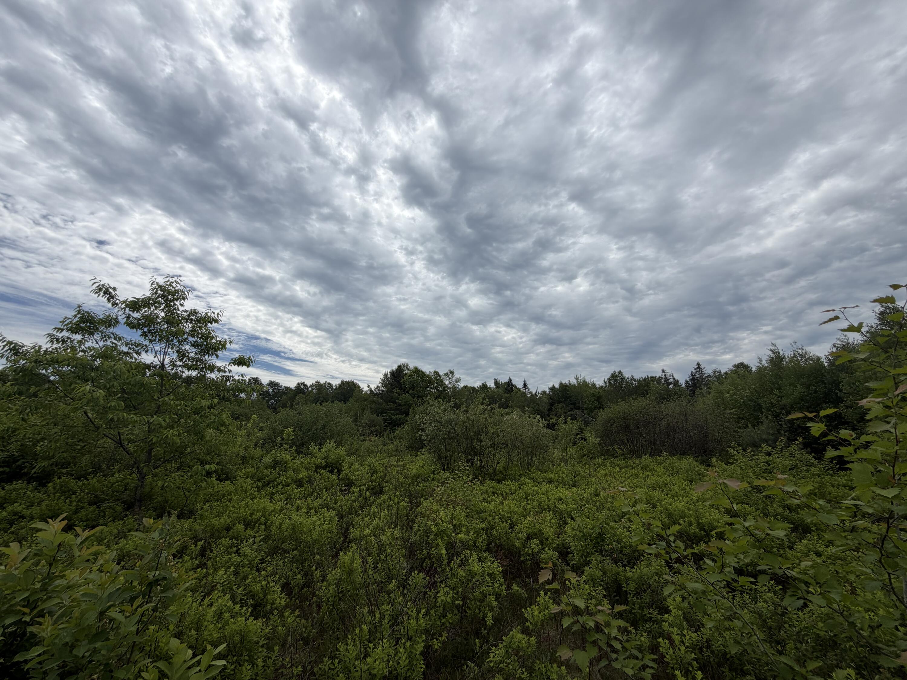 M7-l6a Osgood Road Carroll Plt, ME 04487 - Photo 5 of 6