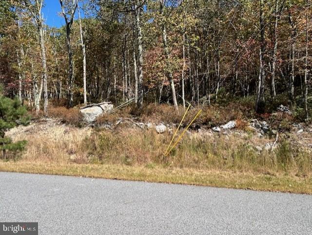 a view of a yard with trees