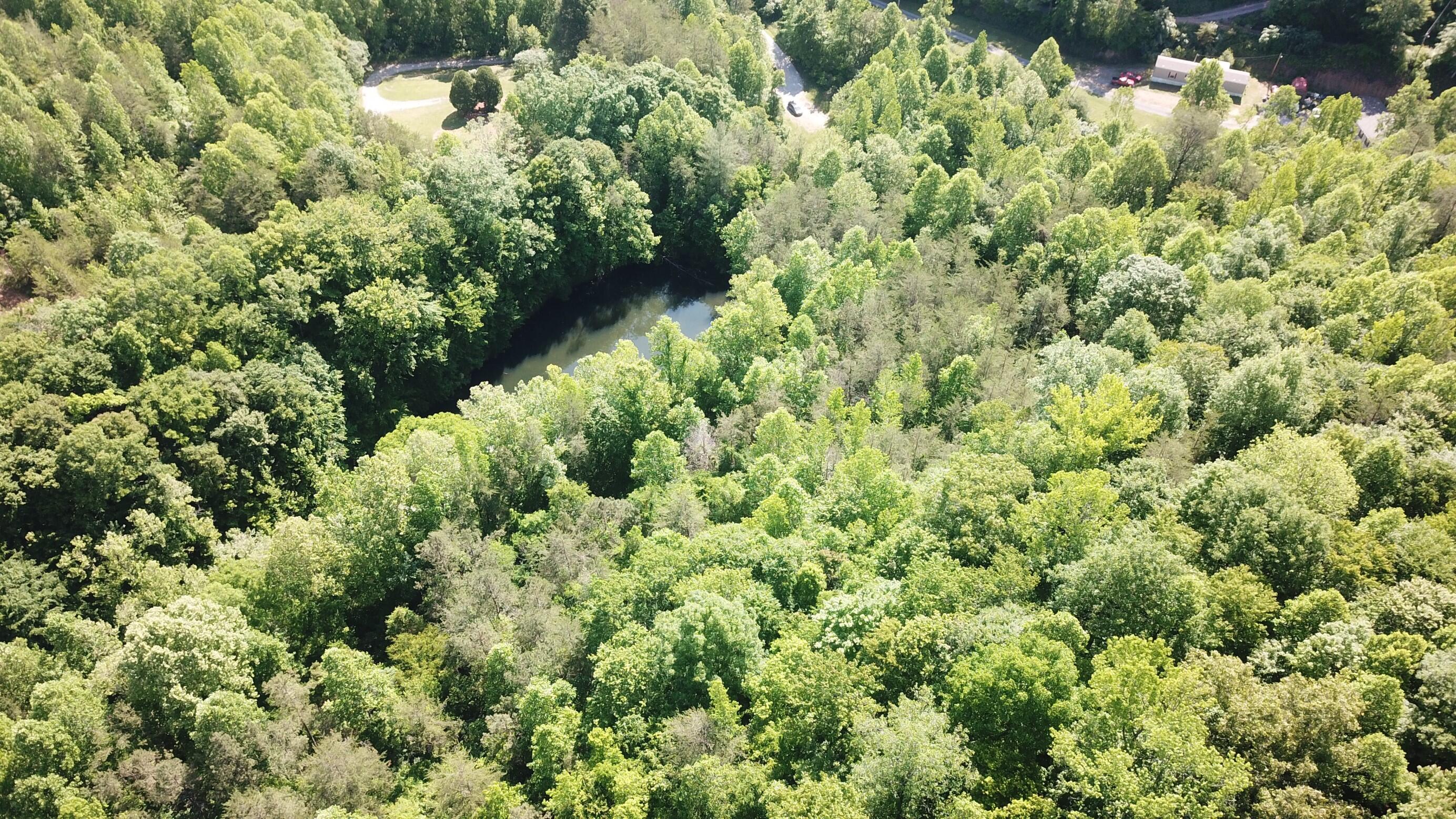 0 Emanuel Hollow Road Gray, KY 40734 - Photo 21 of 29 DJI_0011 (Custom)