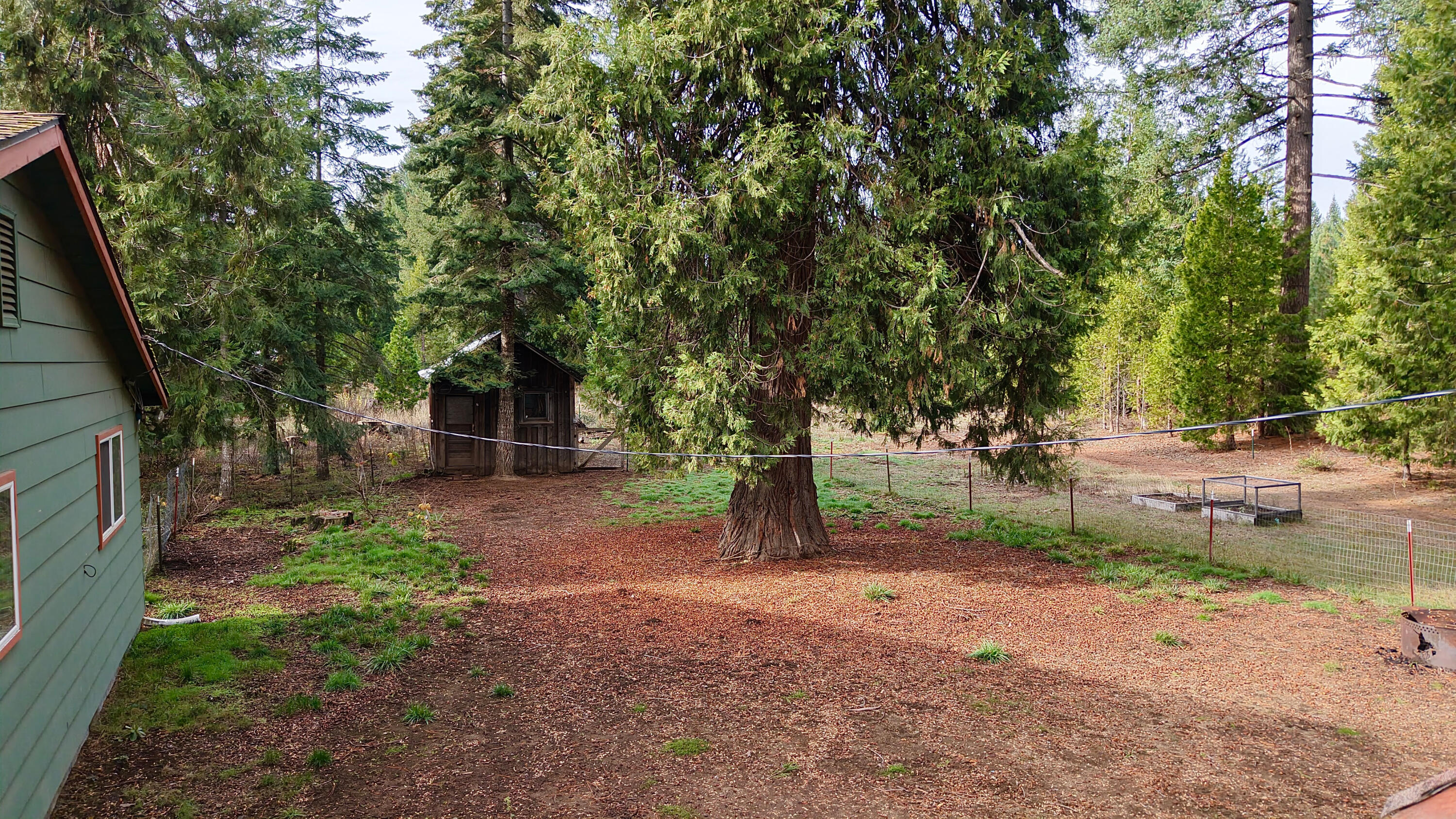431 Red Blanket Road Prospect, OR 97536 - Photo 36 of 48 Back yard with path to Barr Creek