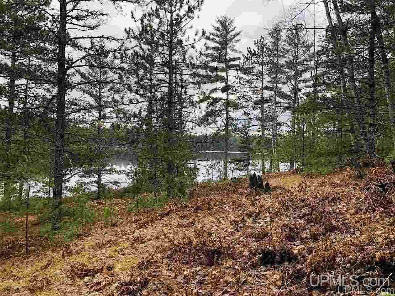 Tbd Mirror Lake Road Munising, MI 49862 - Photo 15 of 19
