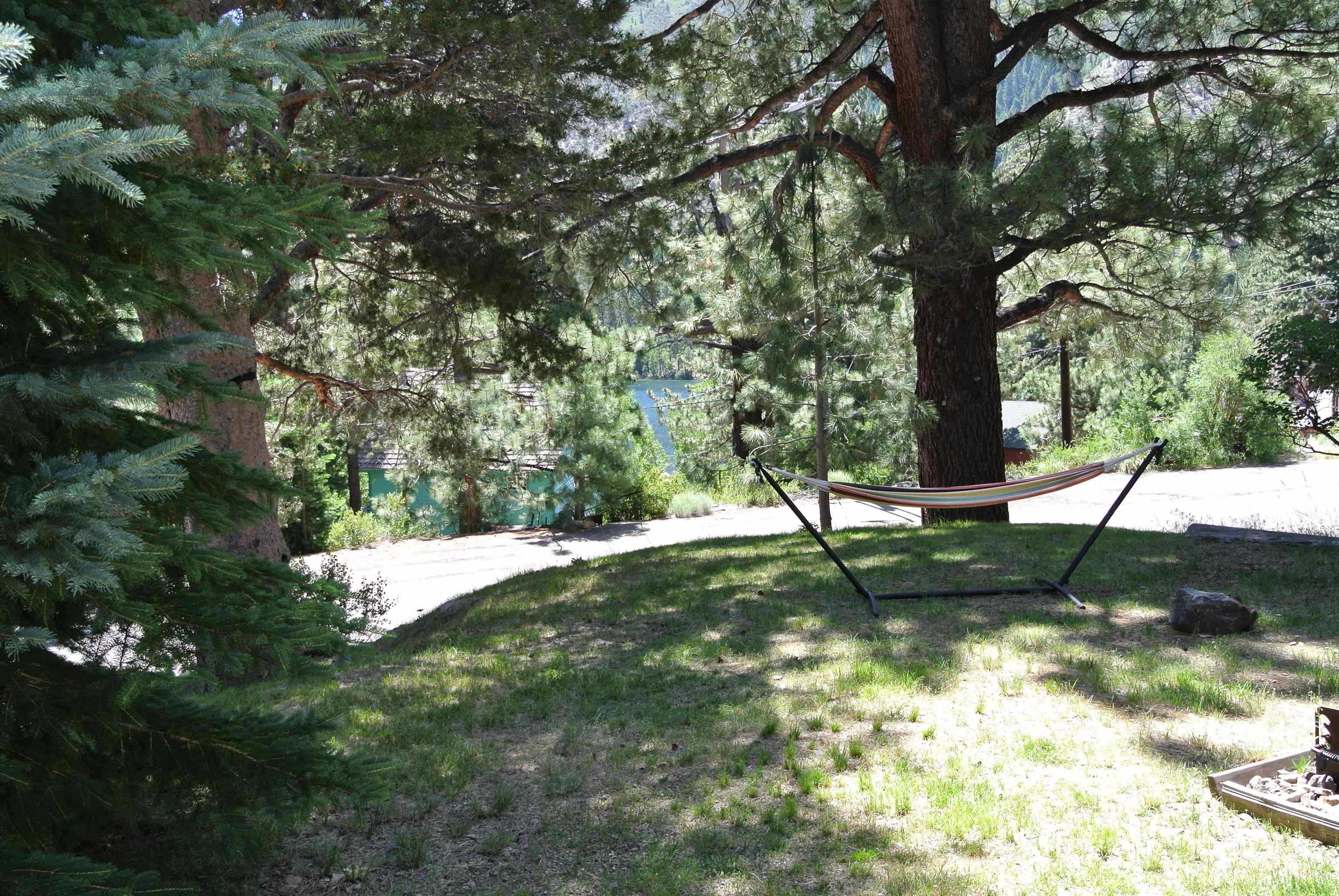 11702 Twin Lakes Road Bridgeport, CA 93517 - Photo 7 of 21 Lush green lawn with mature evergreen trees and dappled sunlight