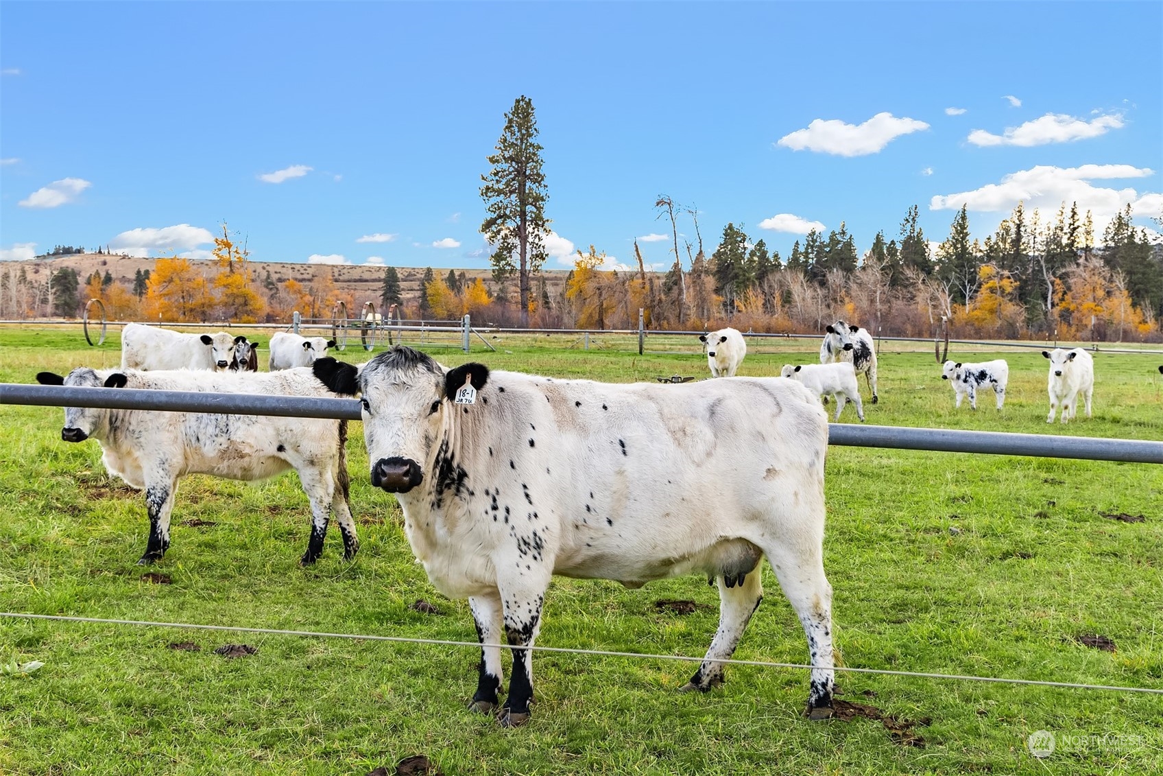 1250 Dudley Road, Unit E Thorp, WA 98946 - Photo 11 of 19 a view of a garden